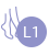 L1